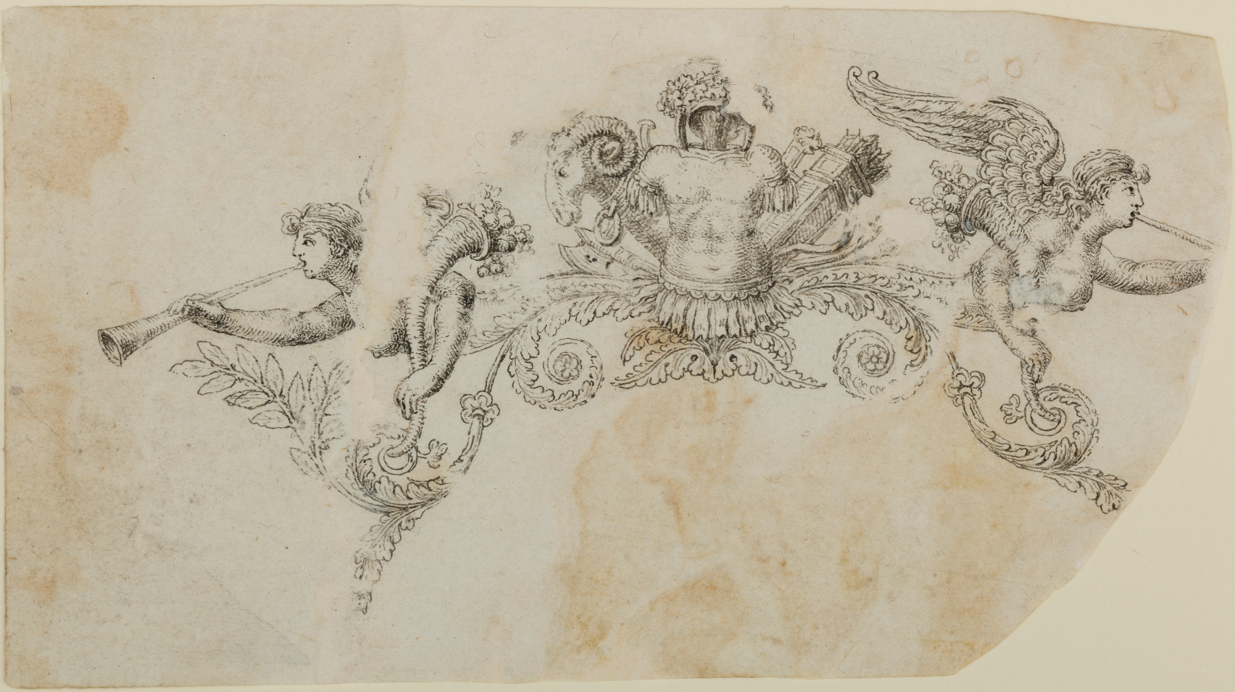 Couture Specimen