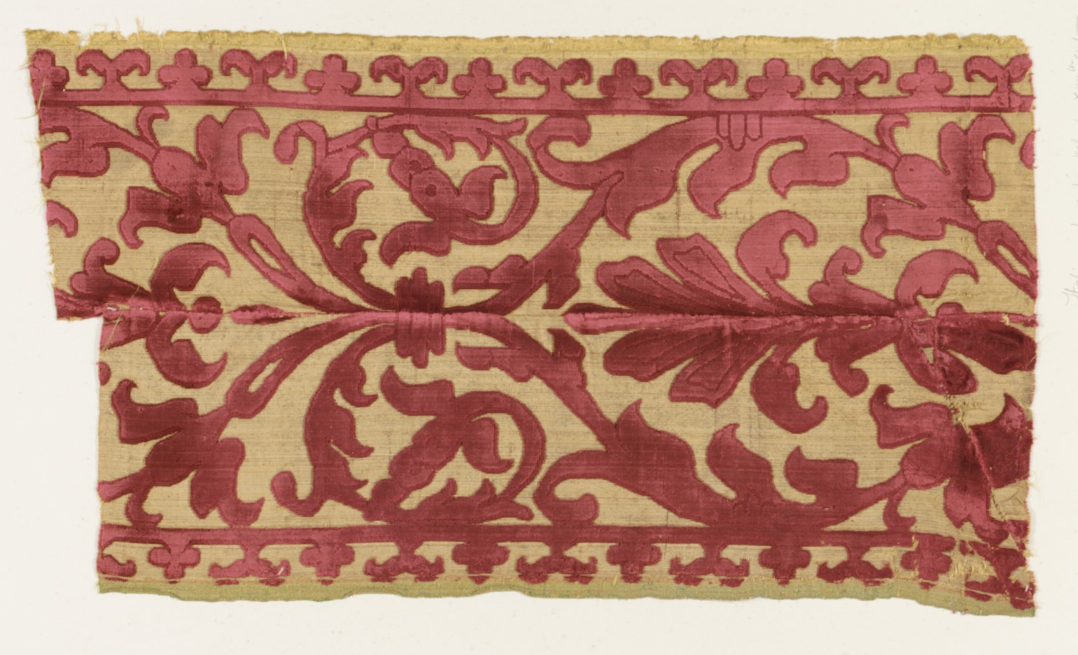 Couture Specimen