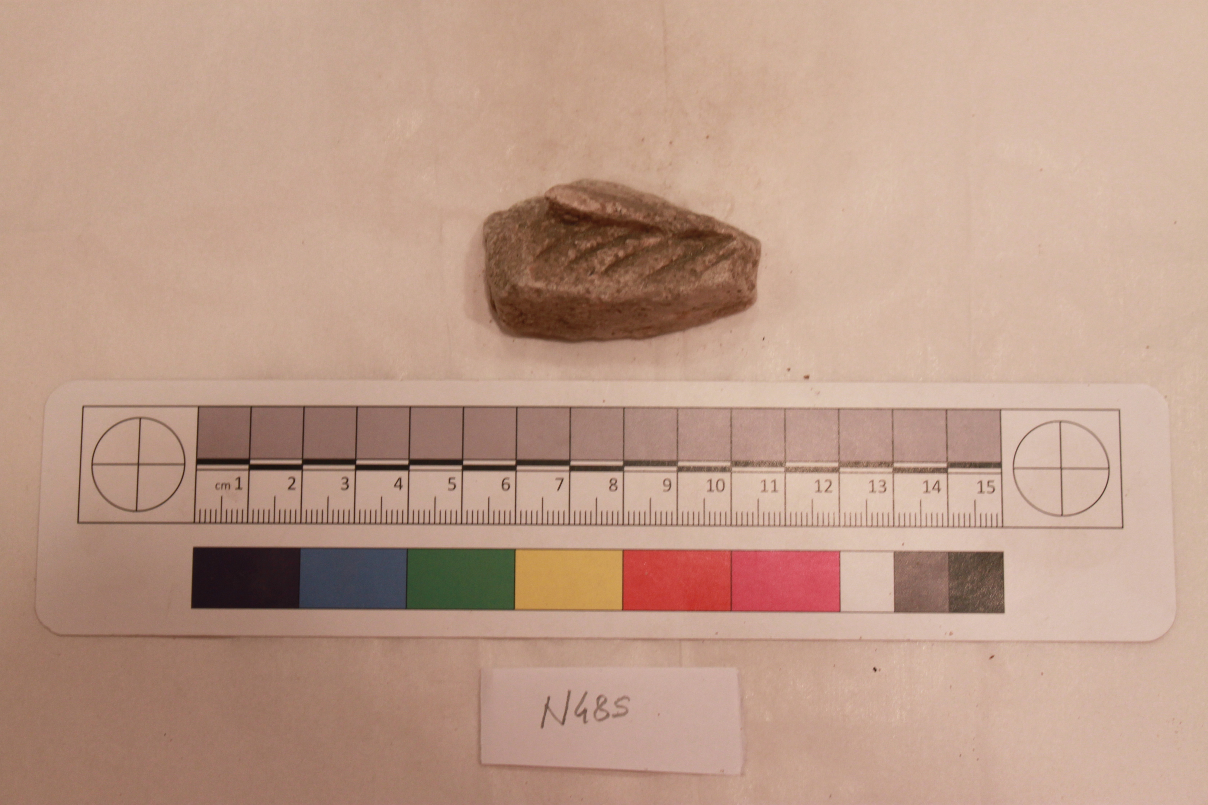 Couture Specimen