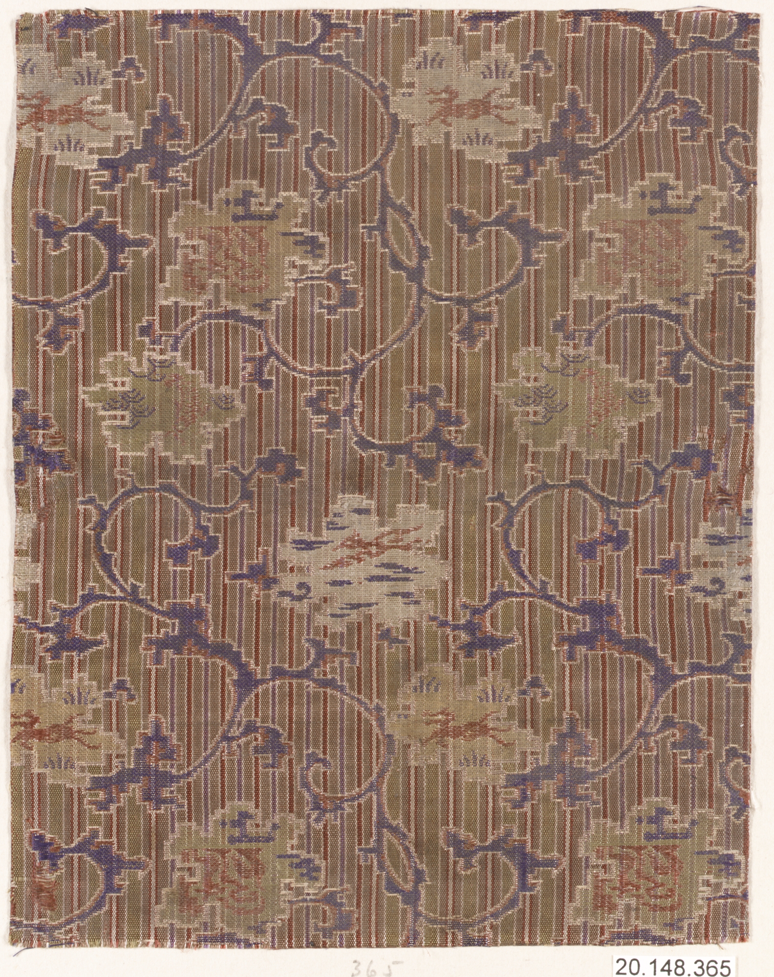 Couture Specimen