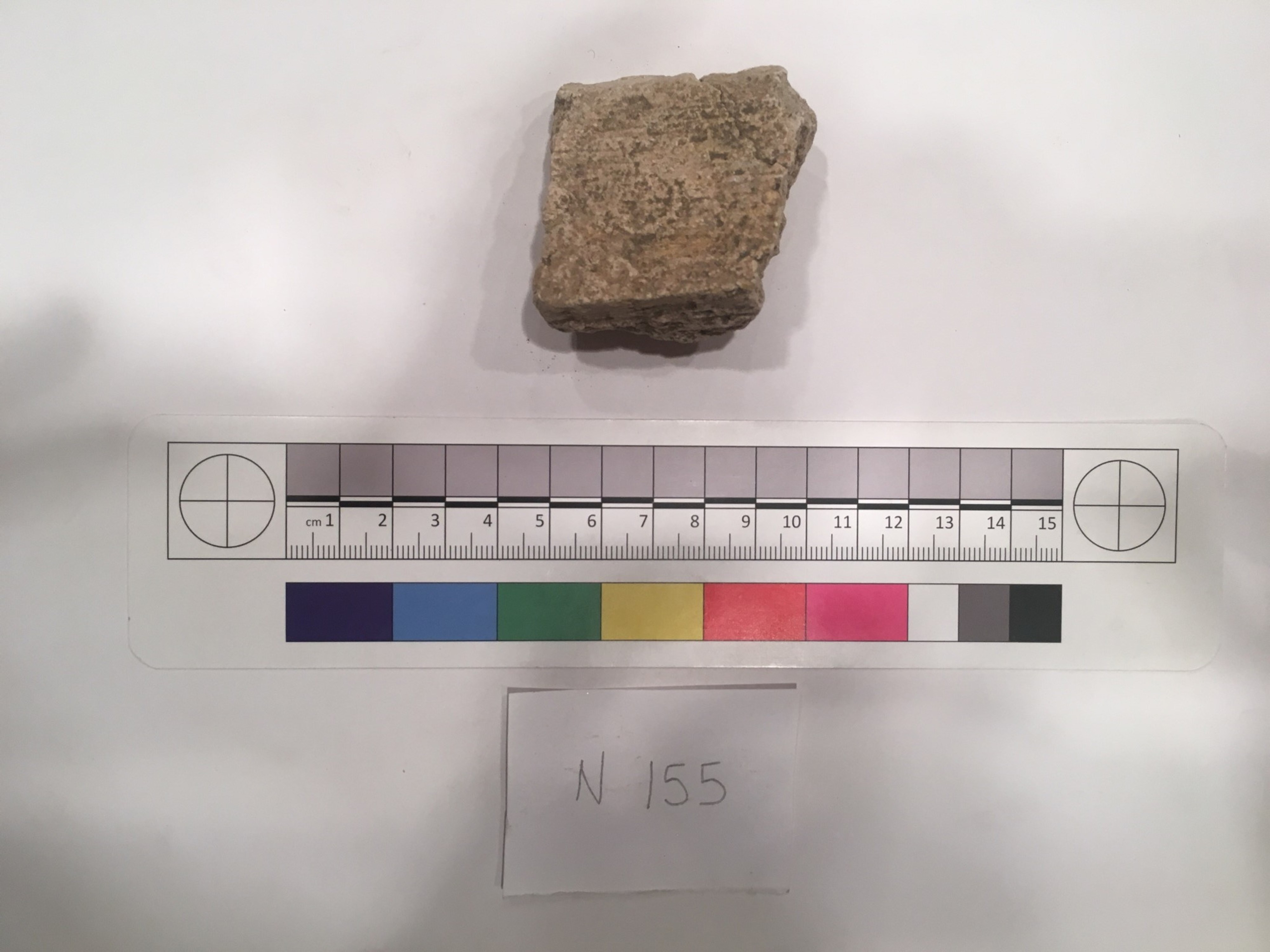 Couture Specimen