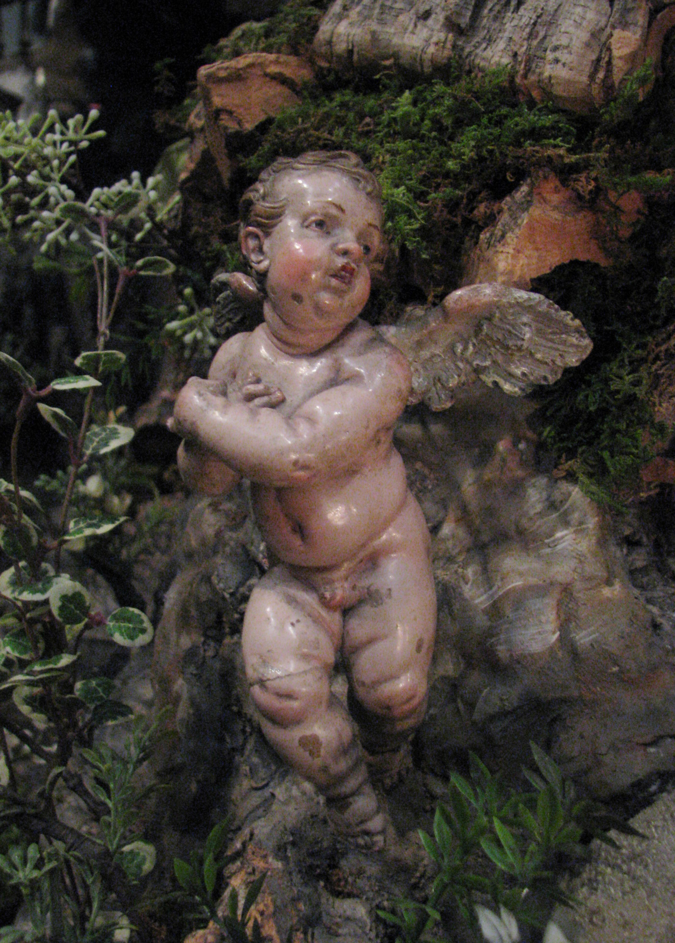 Couture Specimen