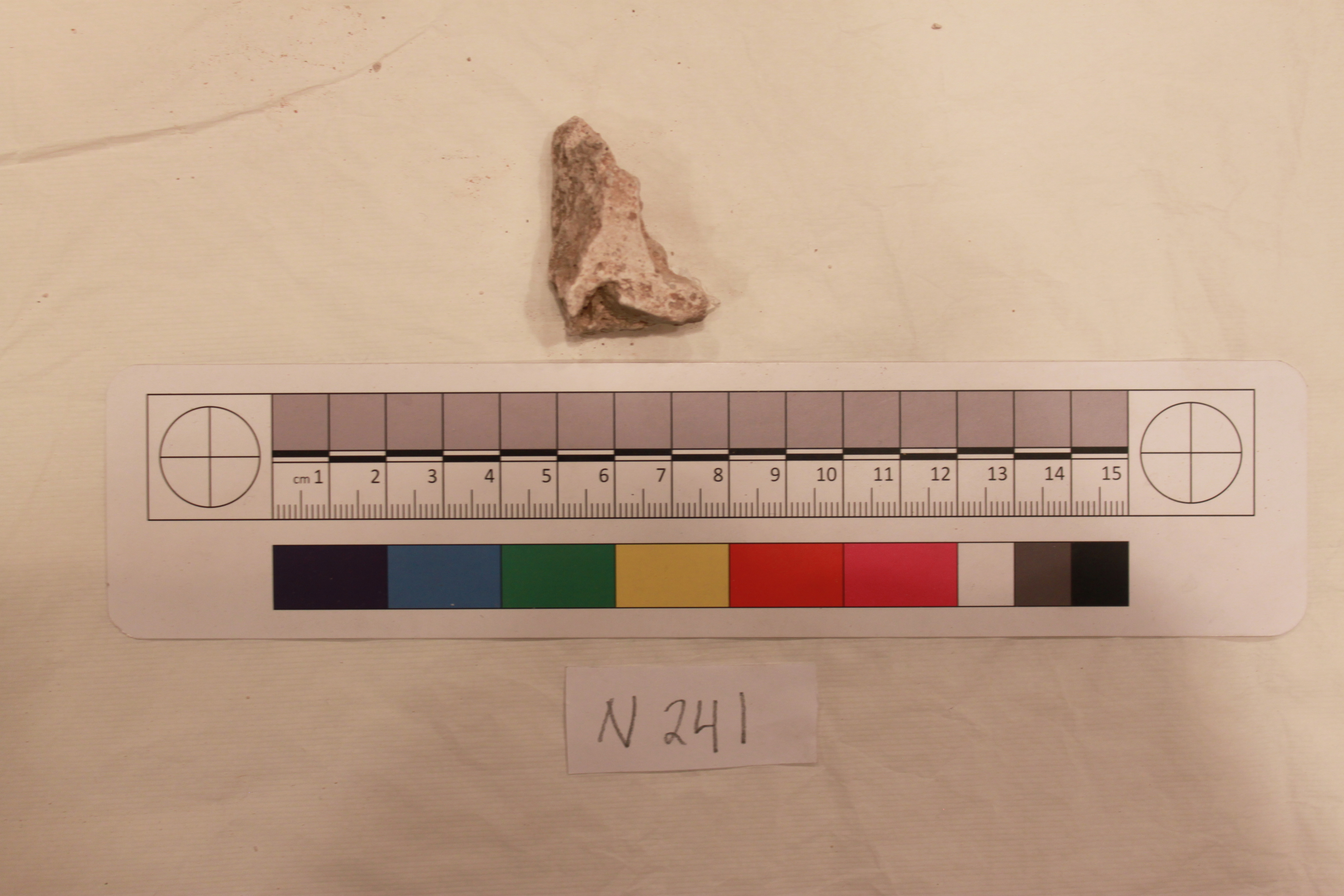 Couture Specimen