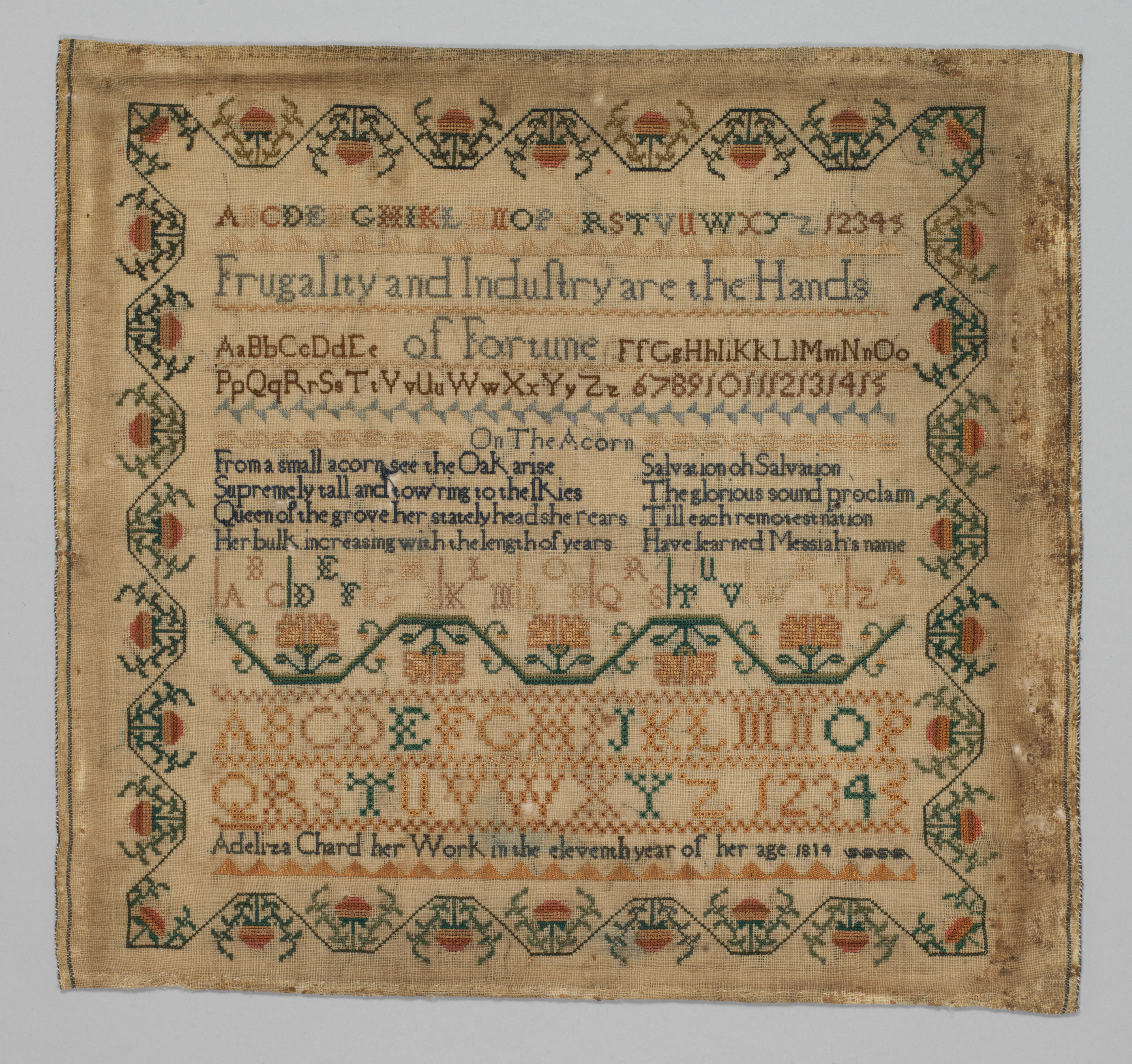 Couture Specimen
