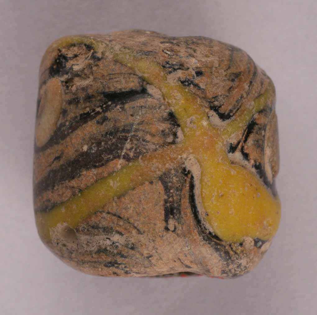 Couture Specimen