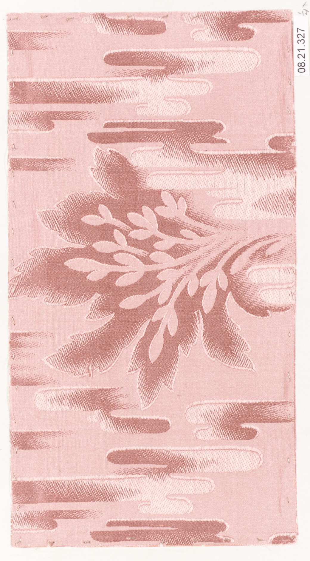 Couture Specimen