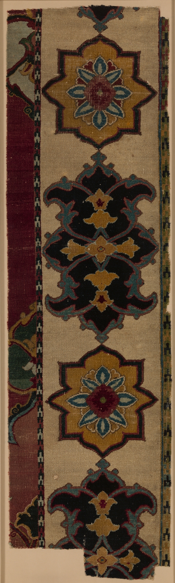 Couture Specimen