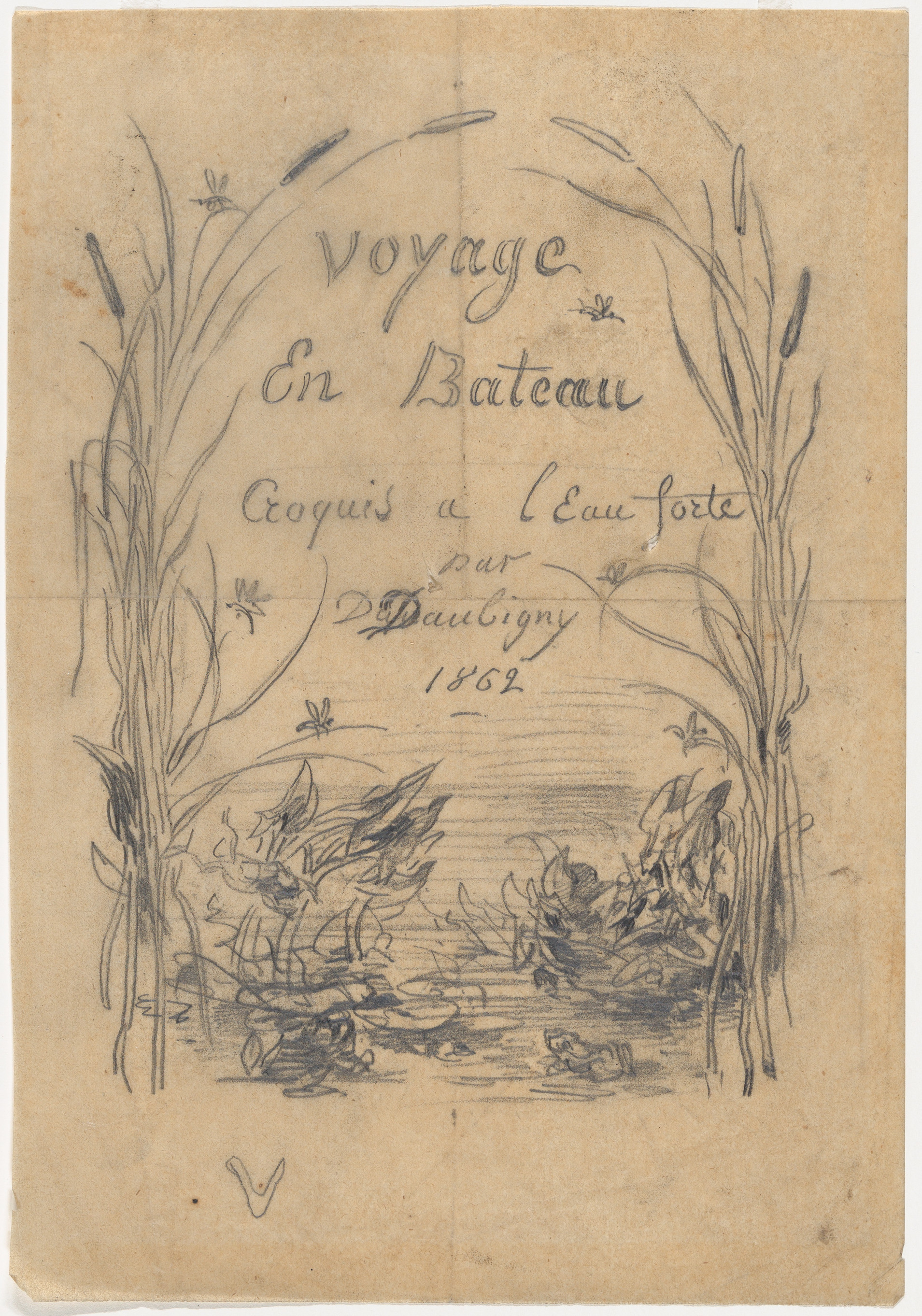 Couture Specimen
