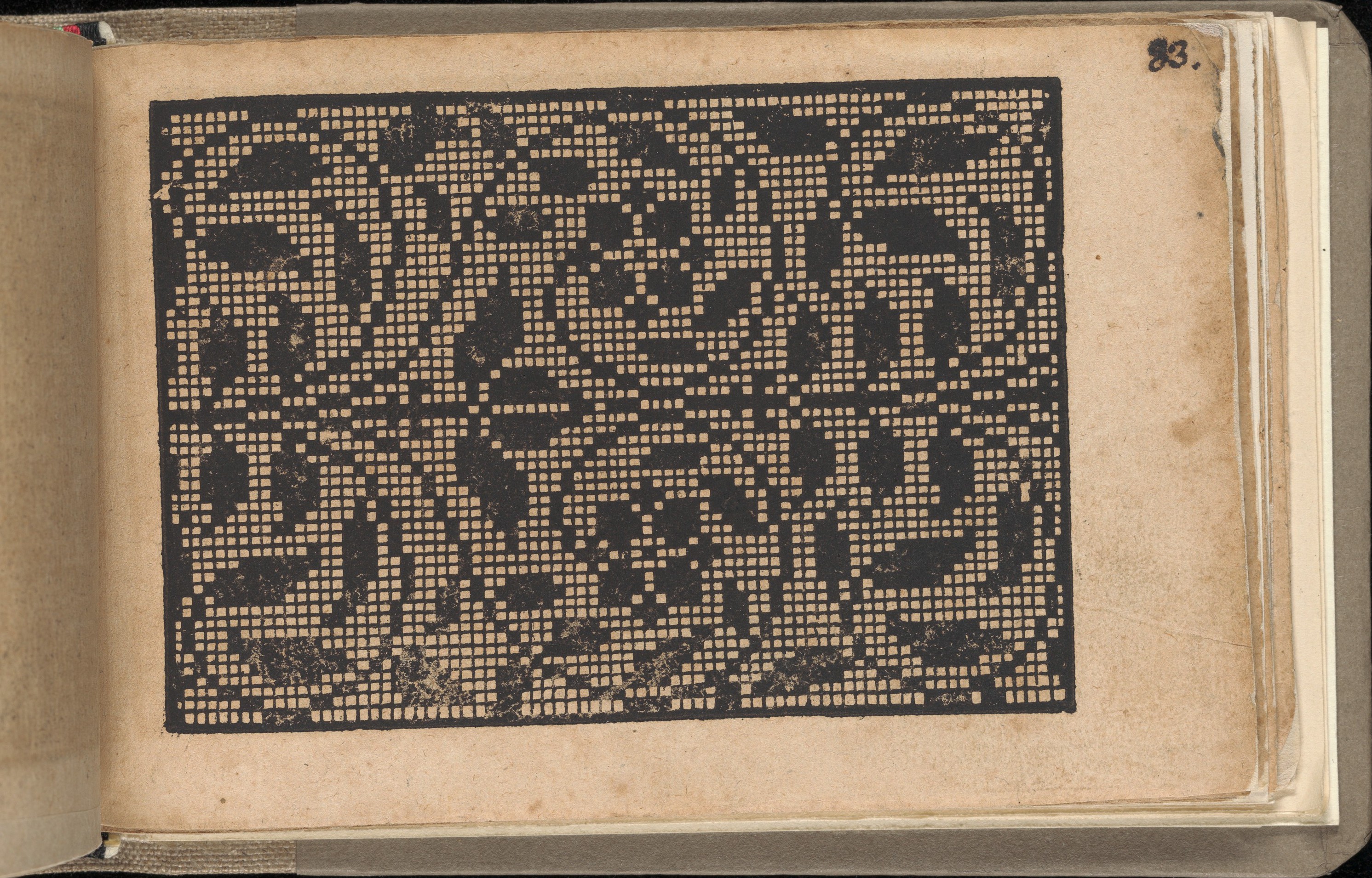 Couture Specimen