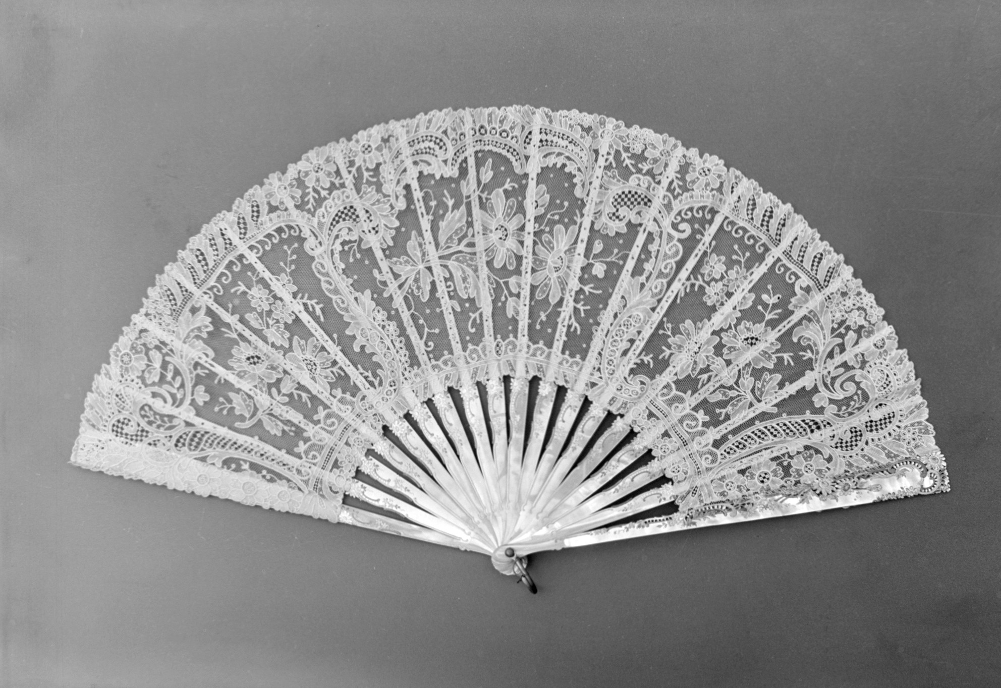 Couture Specimen