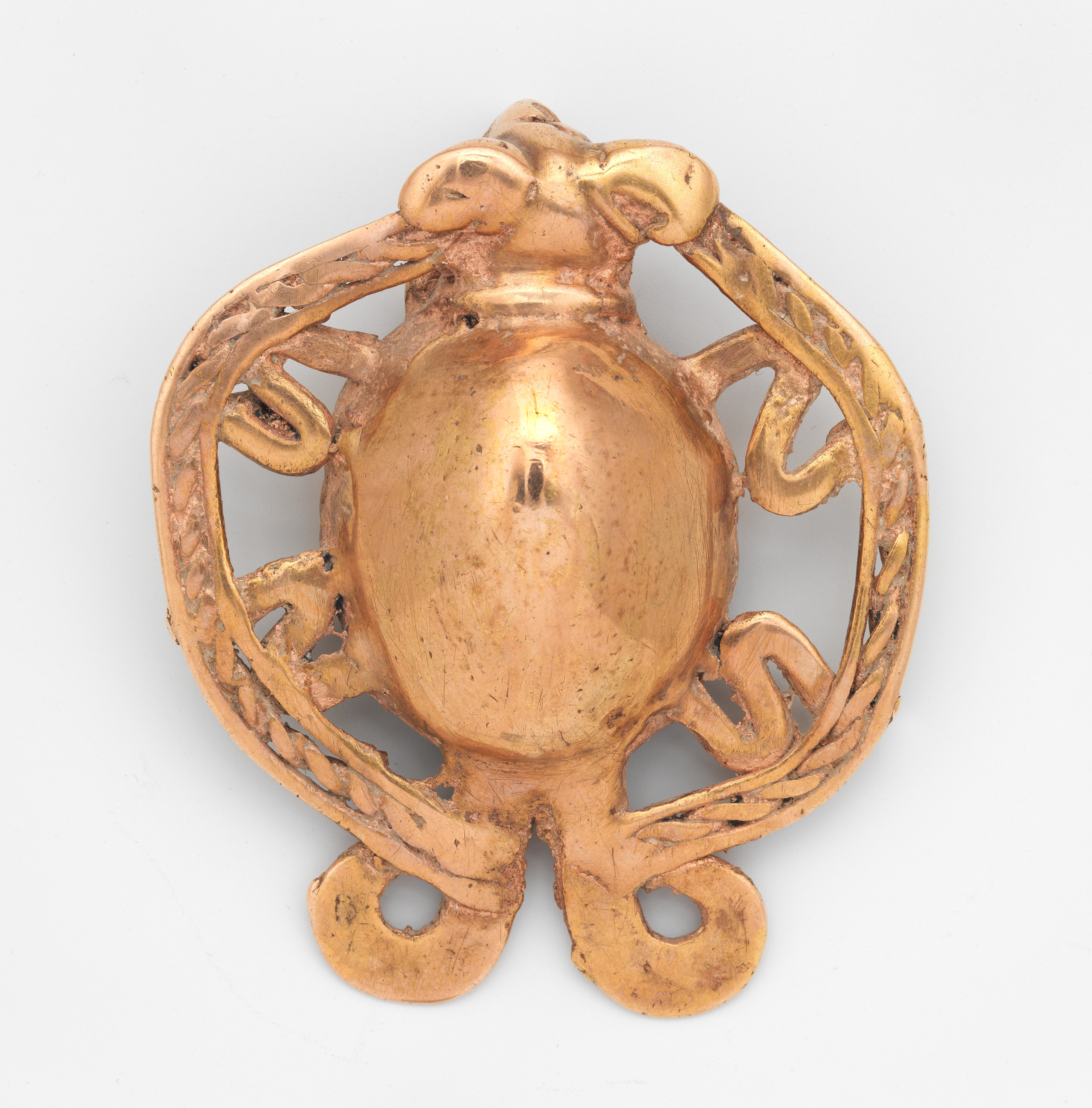 Couture Specimen