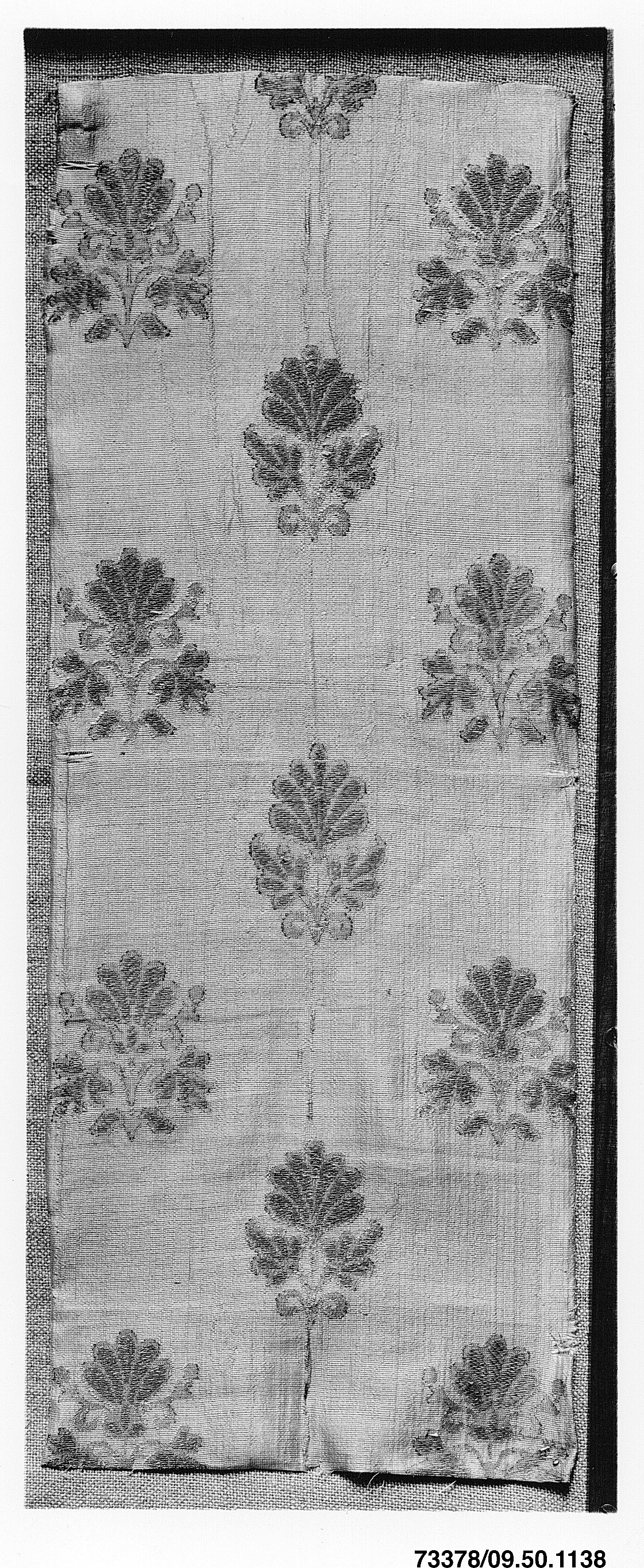 Couture Specimen