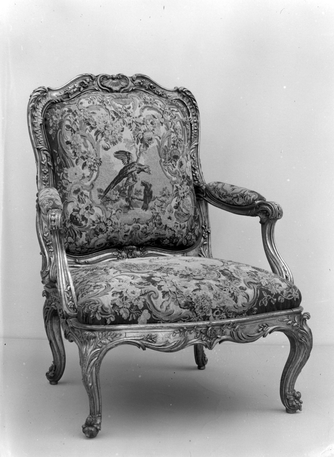 Couture Specimen