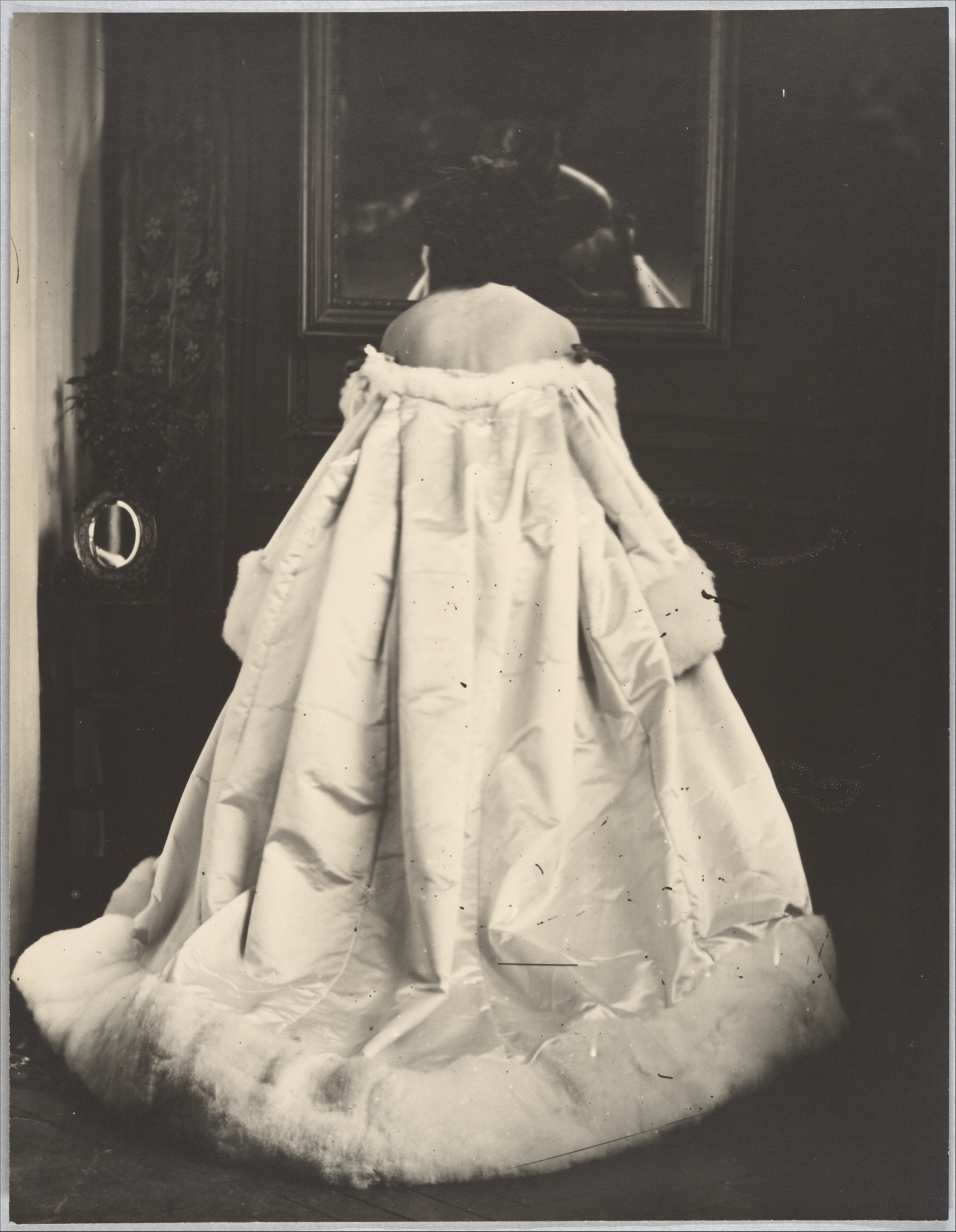 Couture Specimen