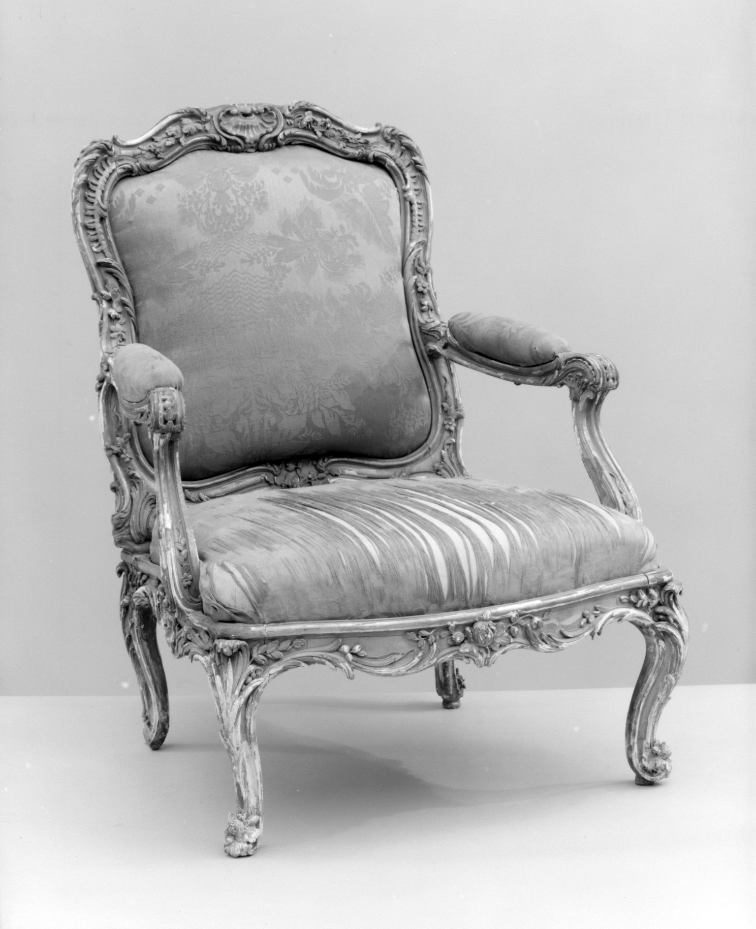 Couture Specimen