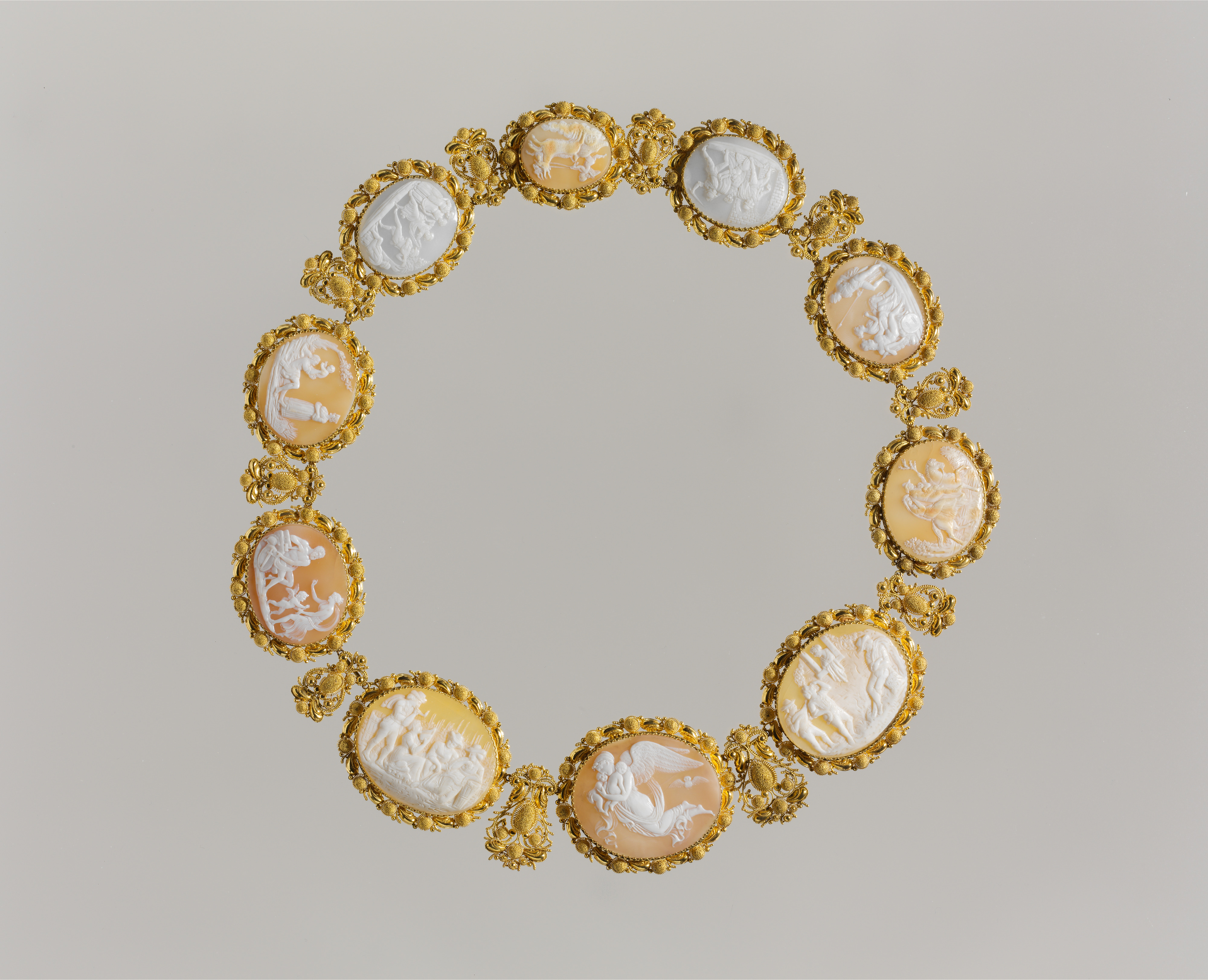 Couture Specimen