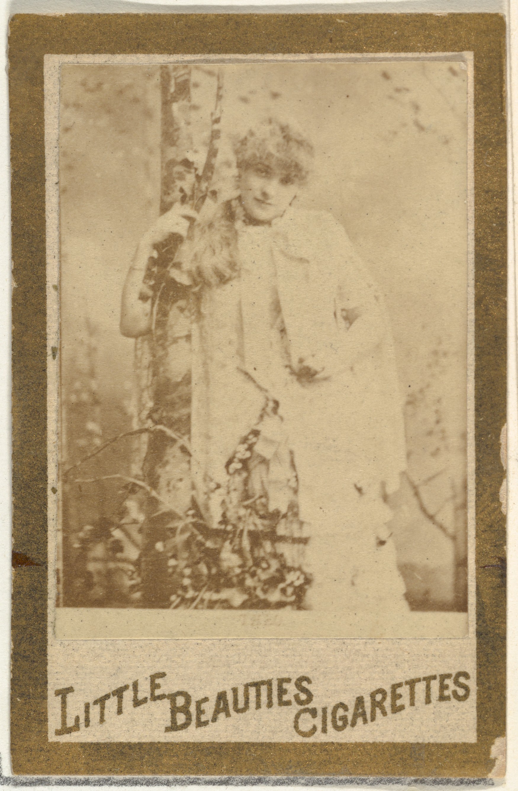 Couture Specimen