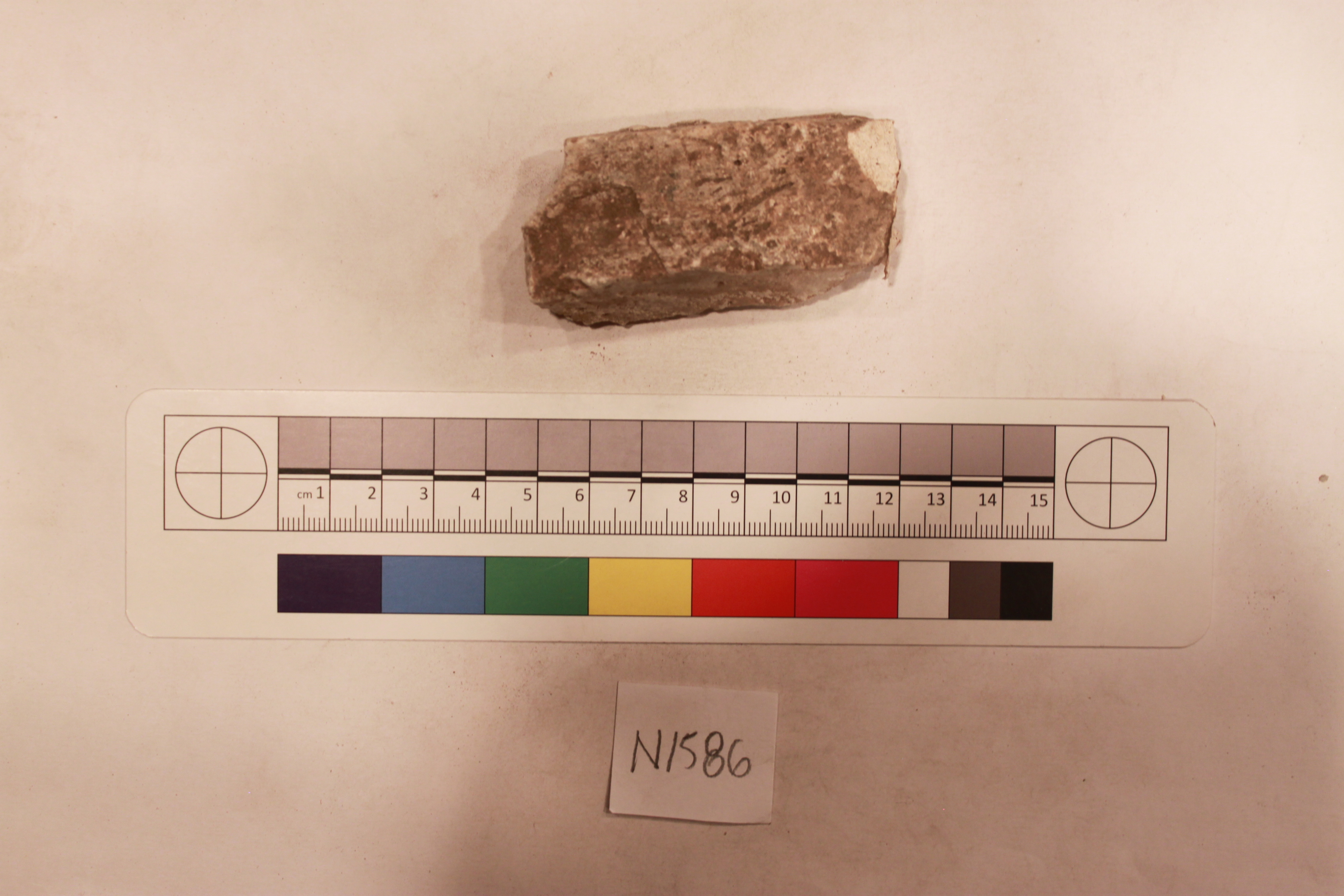 Couture Specimen