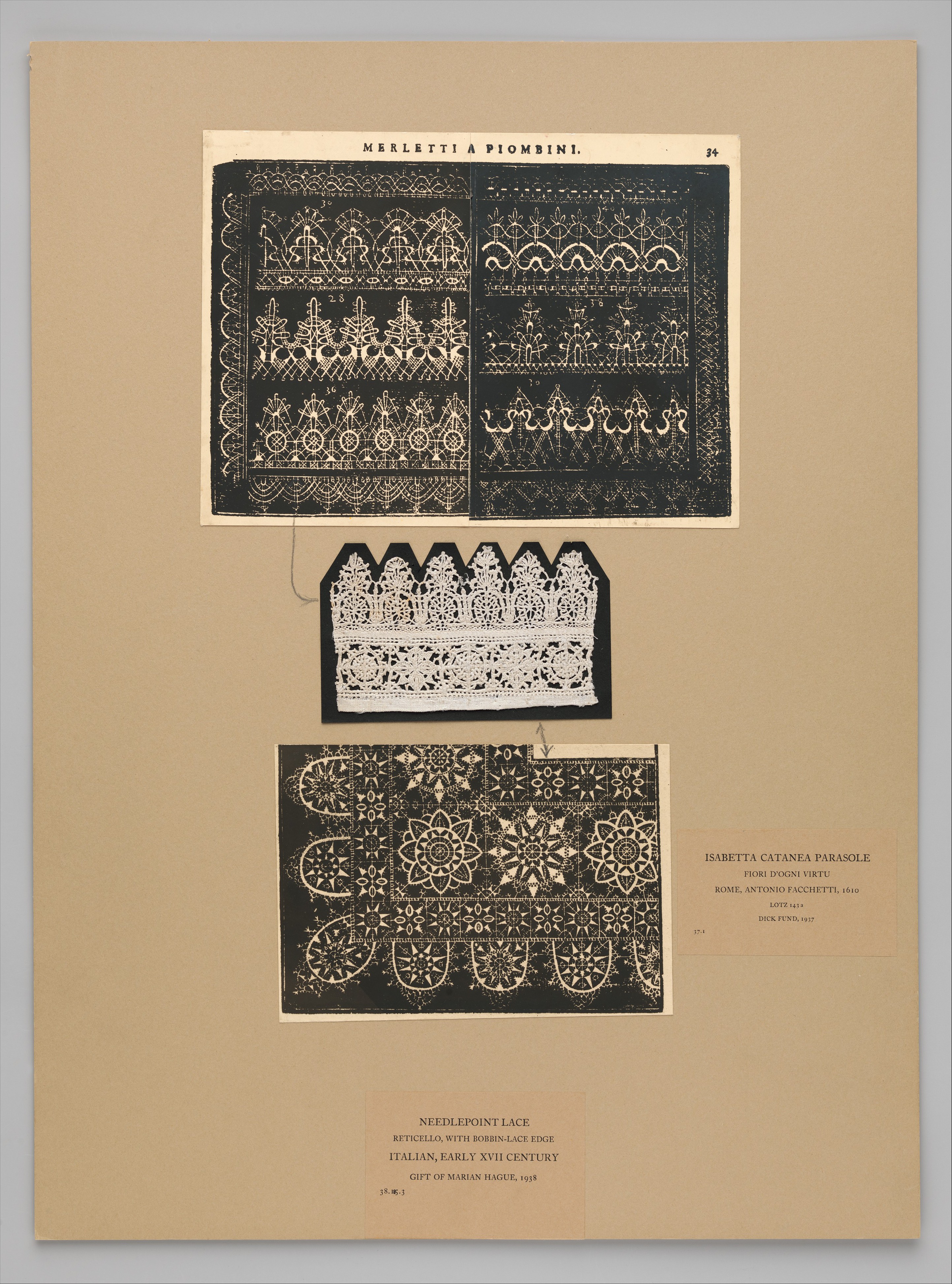 Couture Specimen