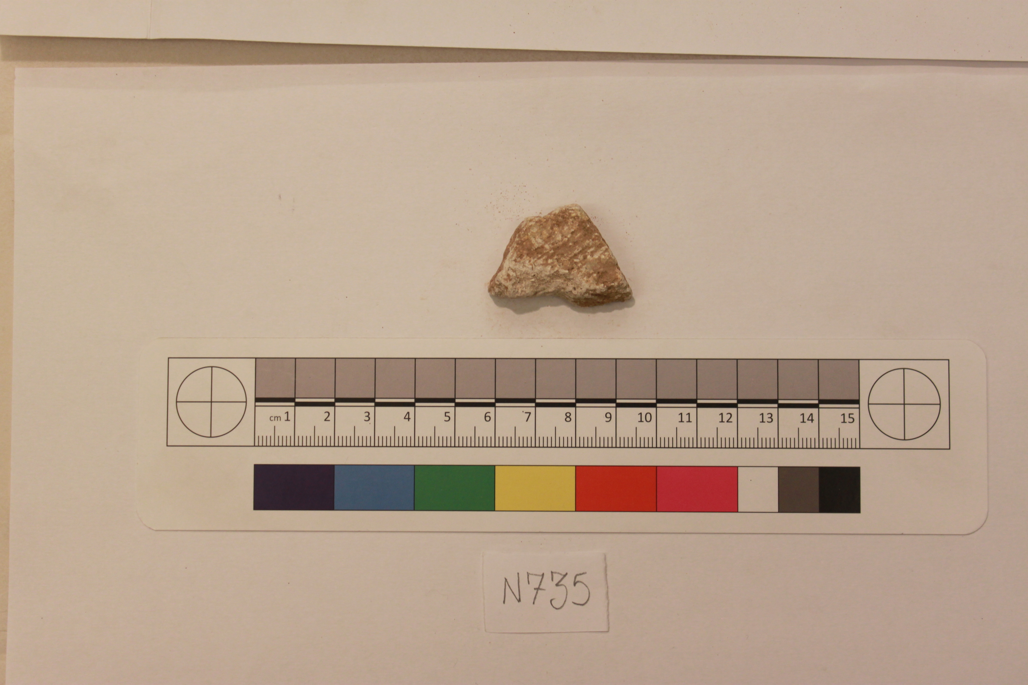 Couture Specimen