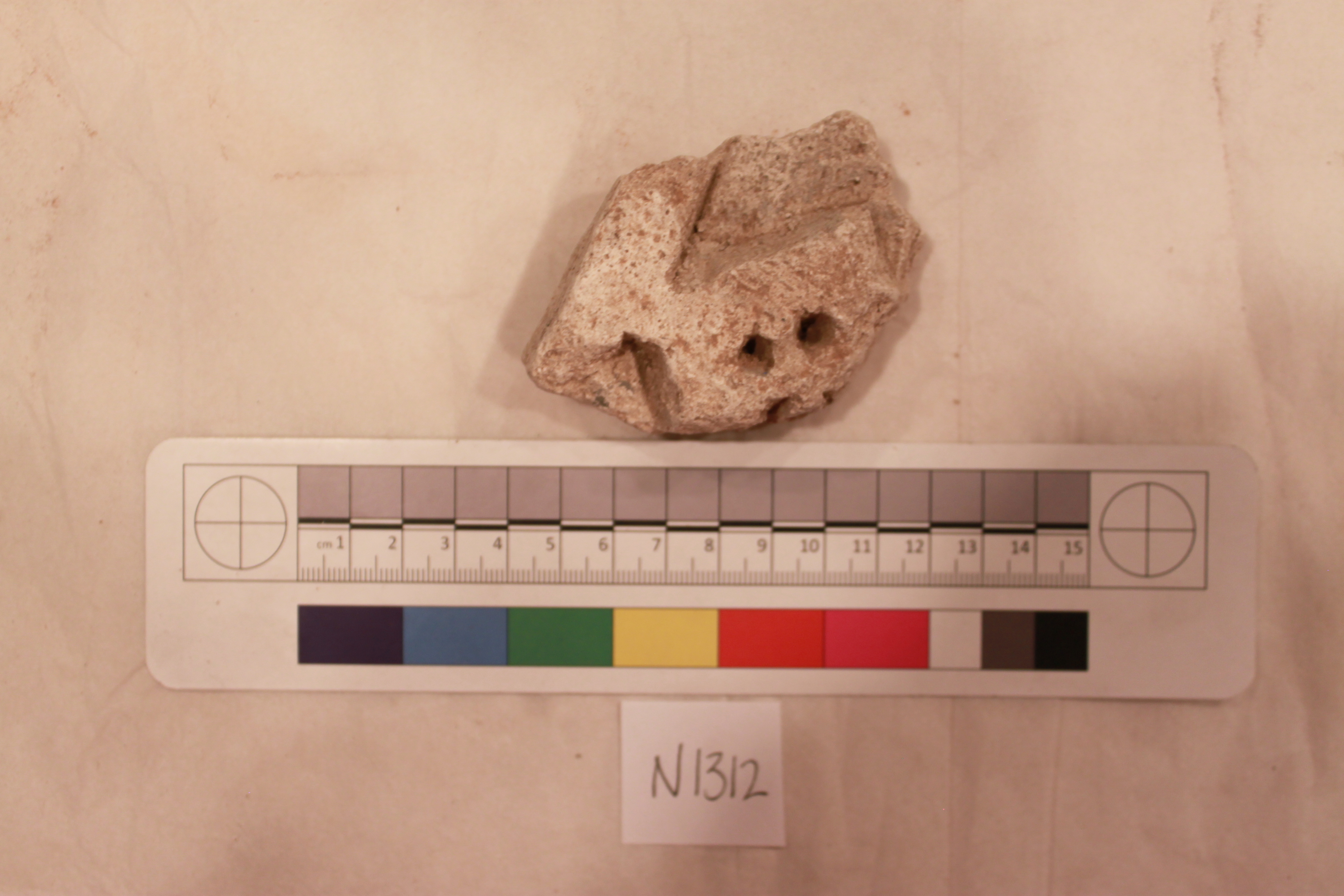 Couture Specimen