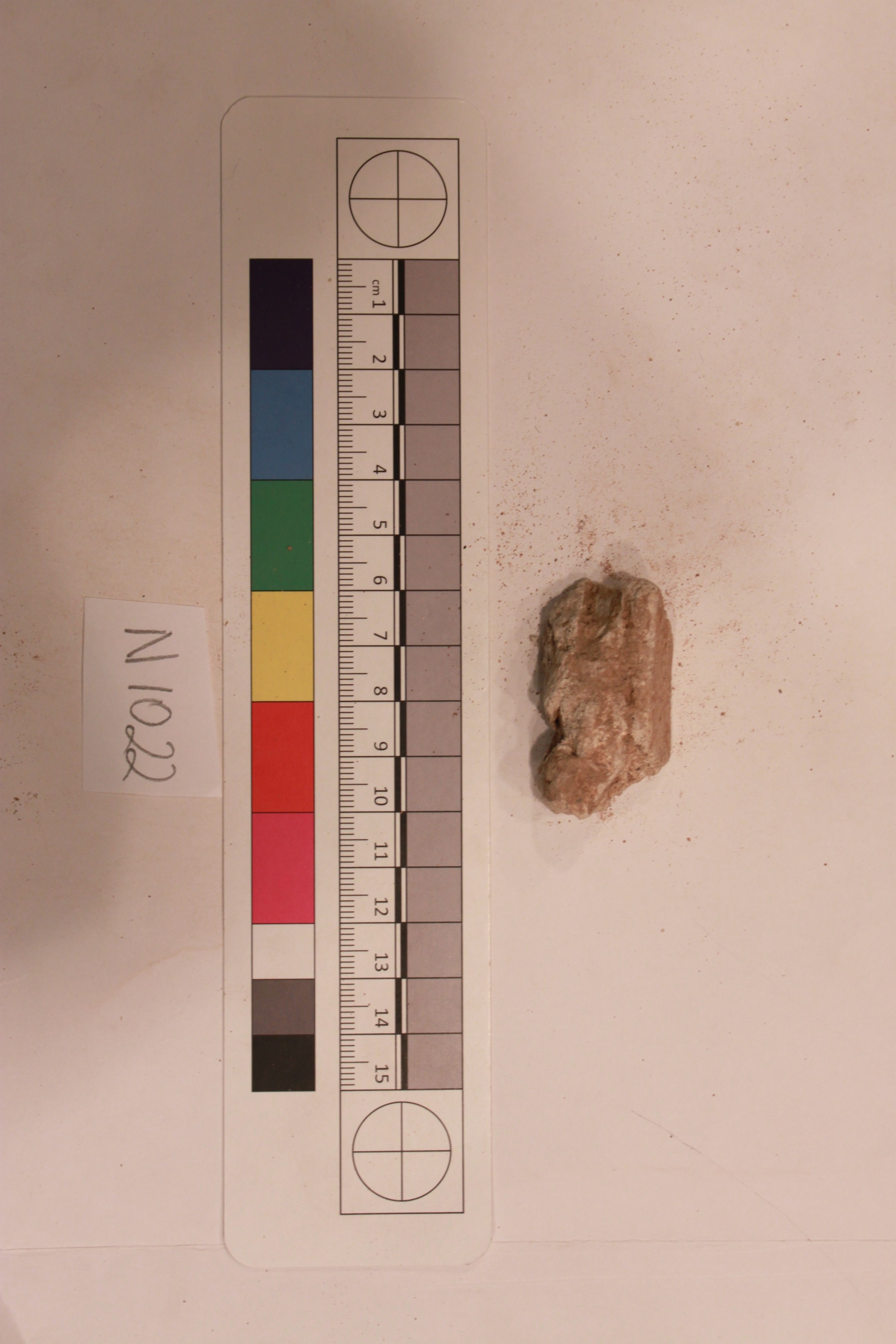 Couture Specimen