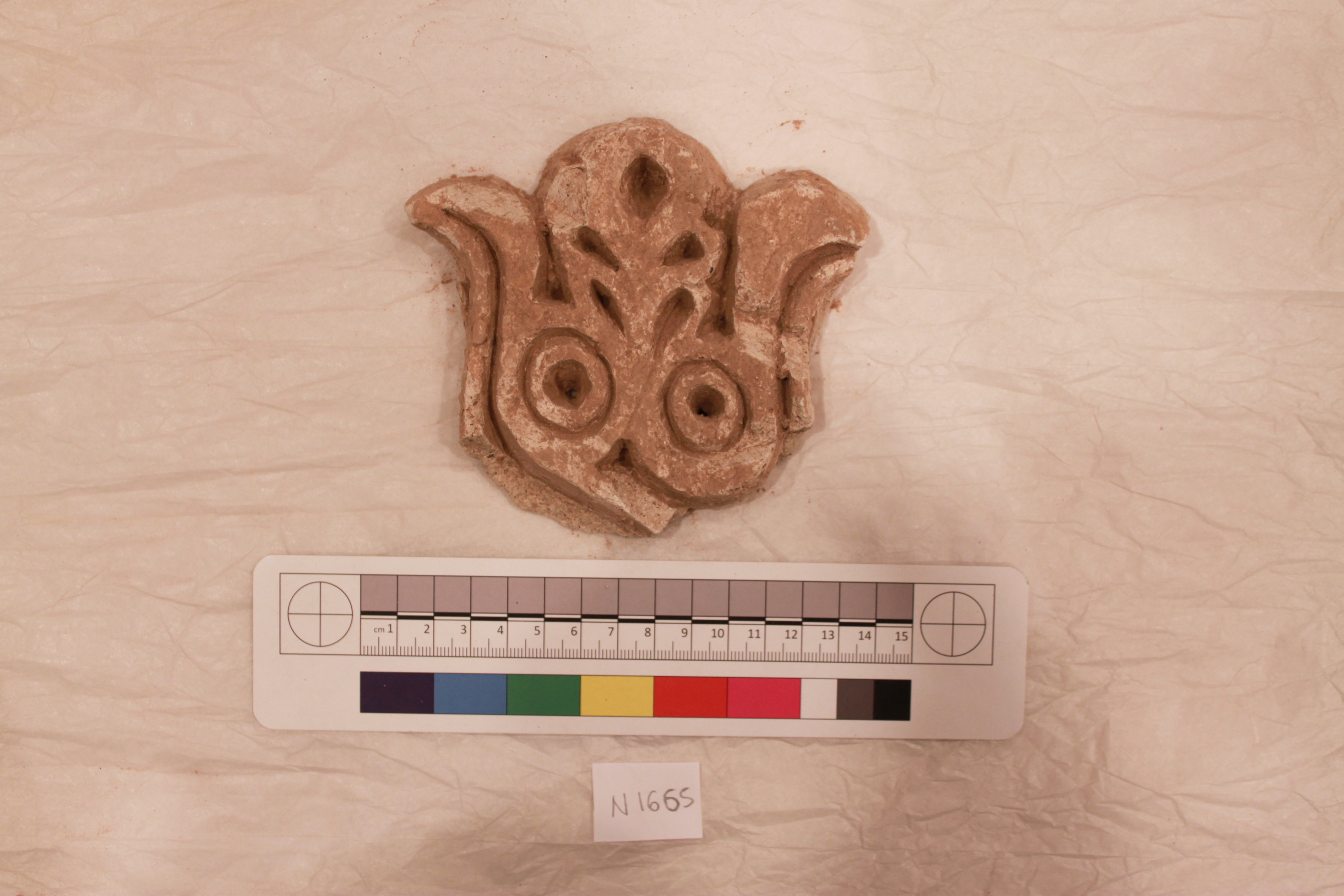 Couture Specimen