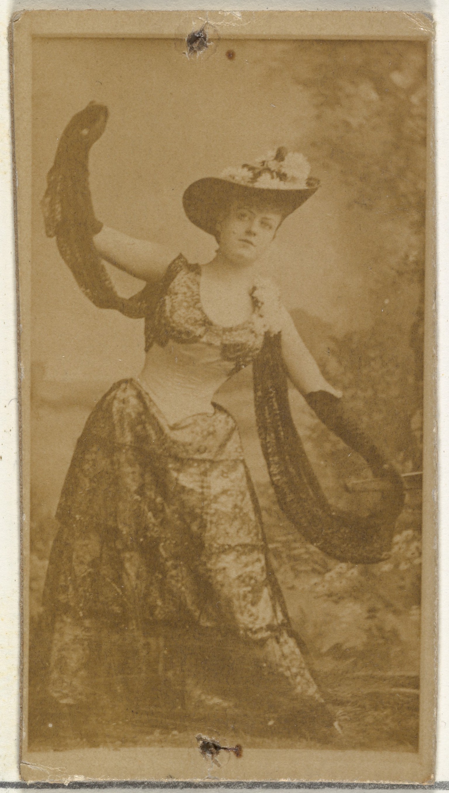 Couture Specimen