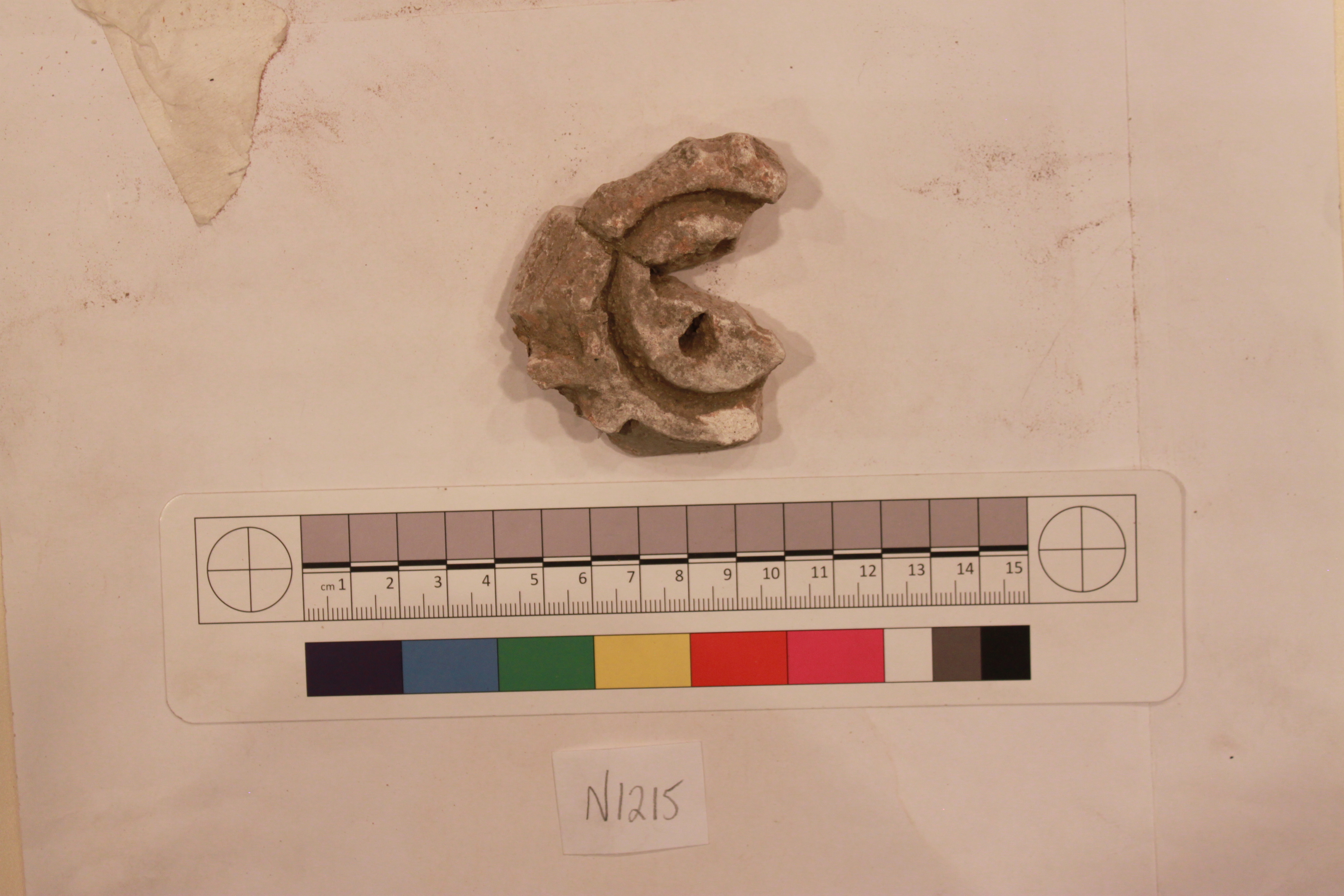 Couture Specimen