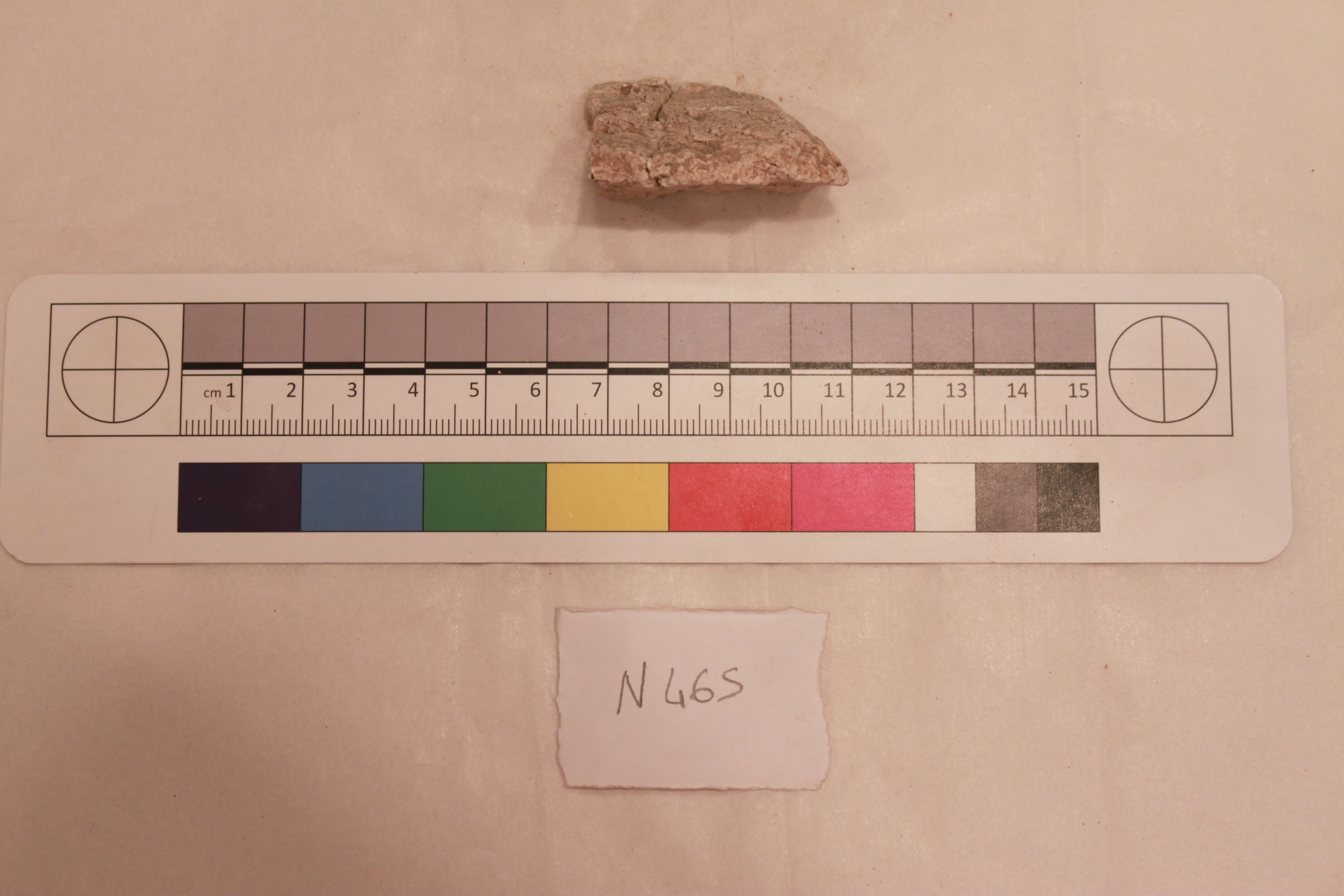 Couture Specimen