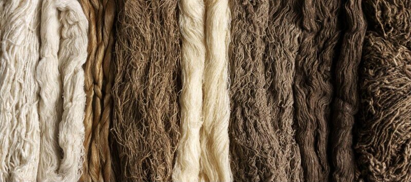Couture Specimen